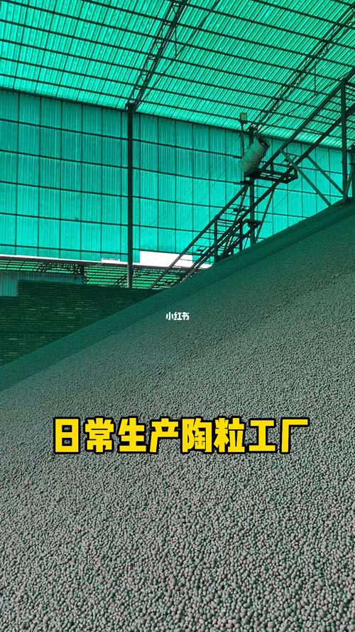 工厂店放心拍质量保障价格实惠陶粒花卉绿植养花小知识