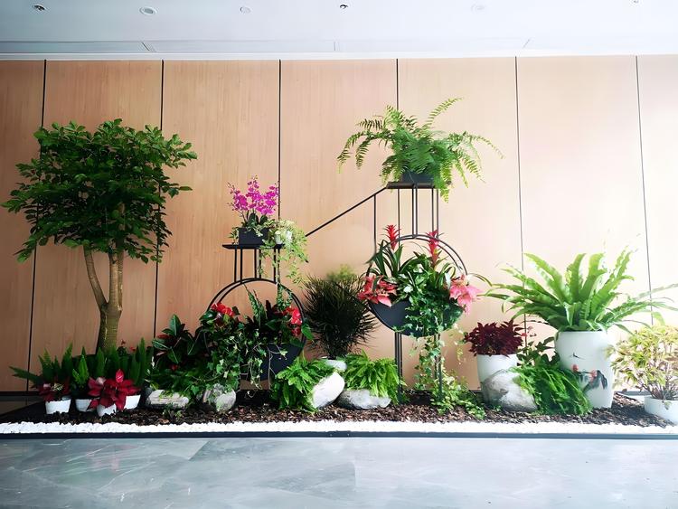 办公室植物租赁 蛇口花卉绿植出租 上门养护服务 免费更换